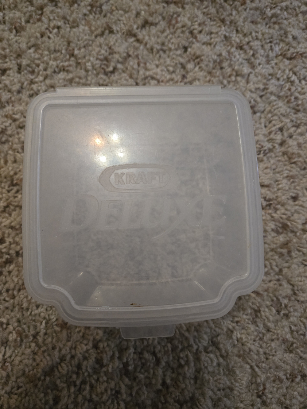Vintage Kraft Cheese Singles Plastic Storage Container Hinged Box Reusable